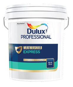 son Dulux Professional Weathershield Express