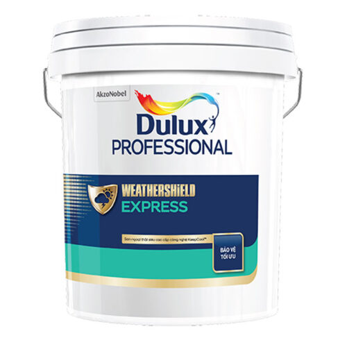son Dulux Professional Weathershield Express