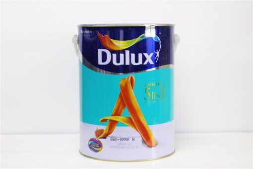 son dulux 5 in 1 ambiance